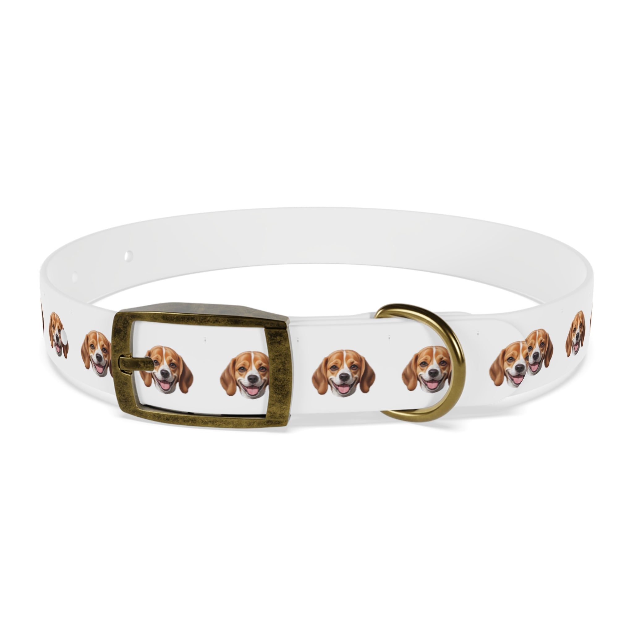 Beagle Collar