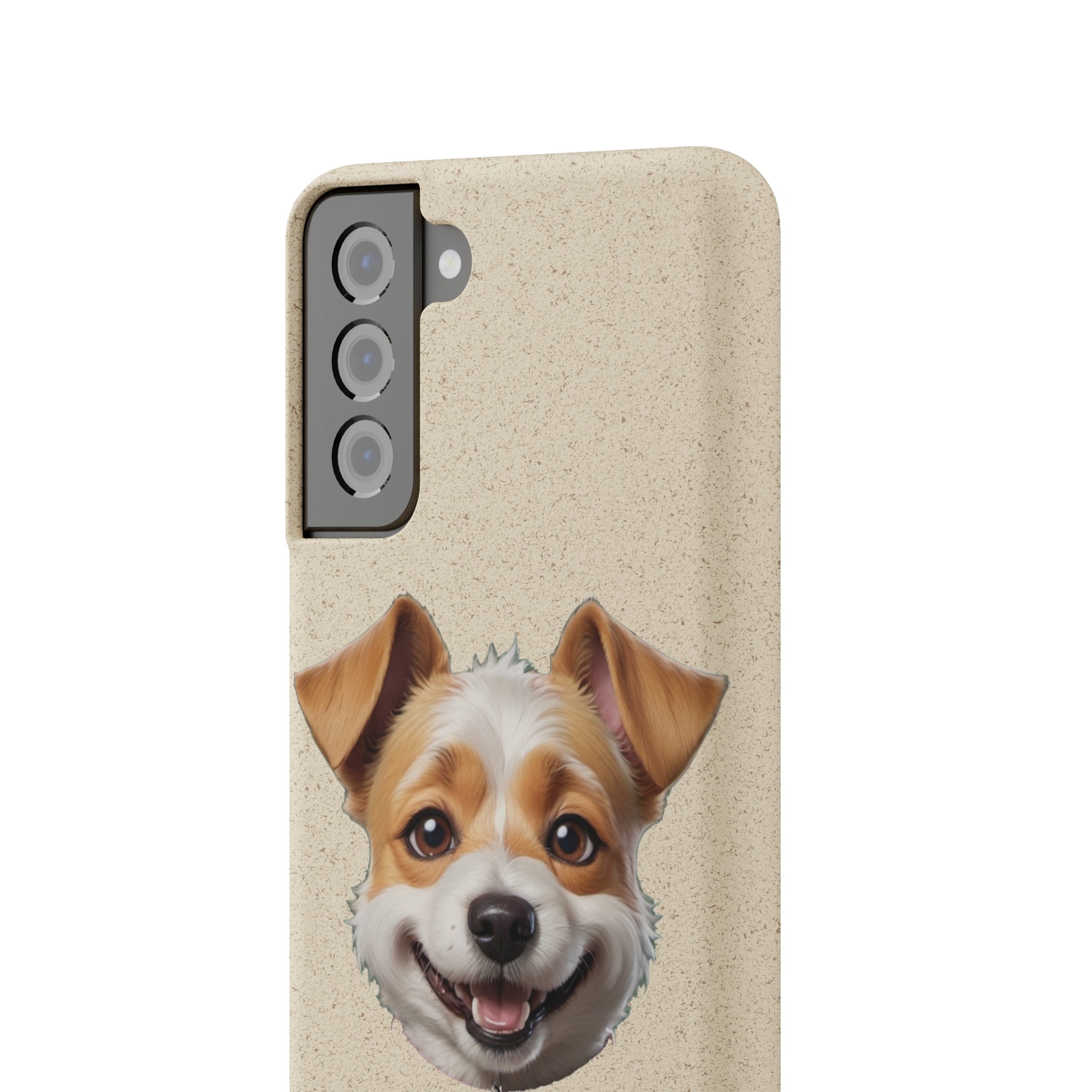 Terrier Papa Cases