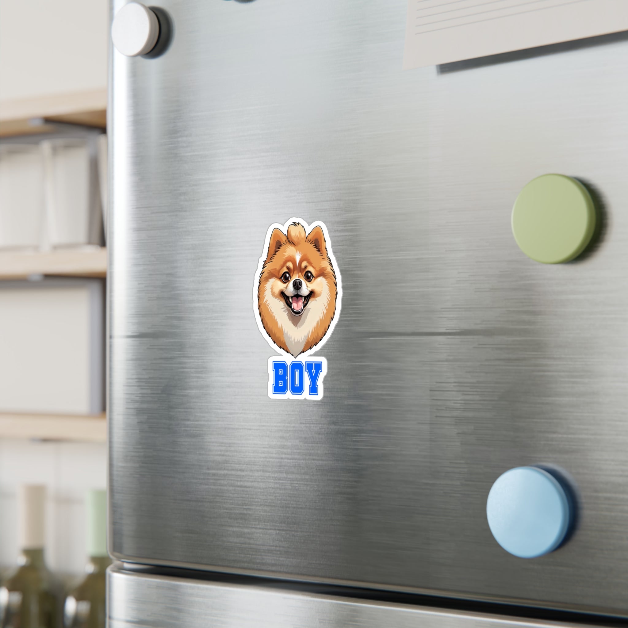 Pomeranian Boy Vinyl Decals