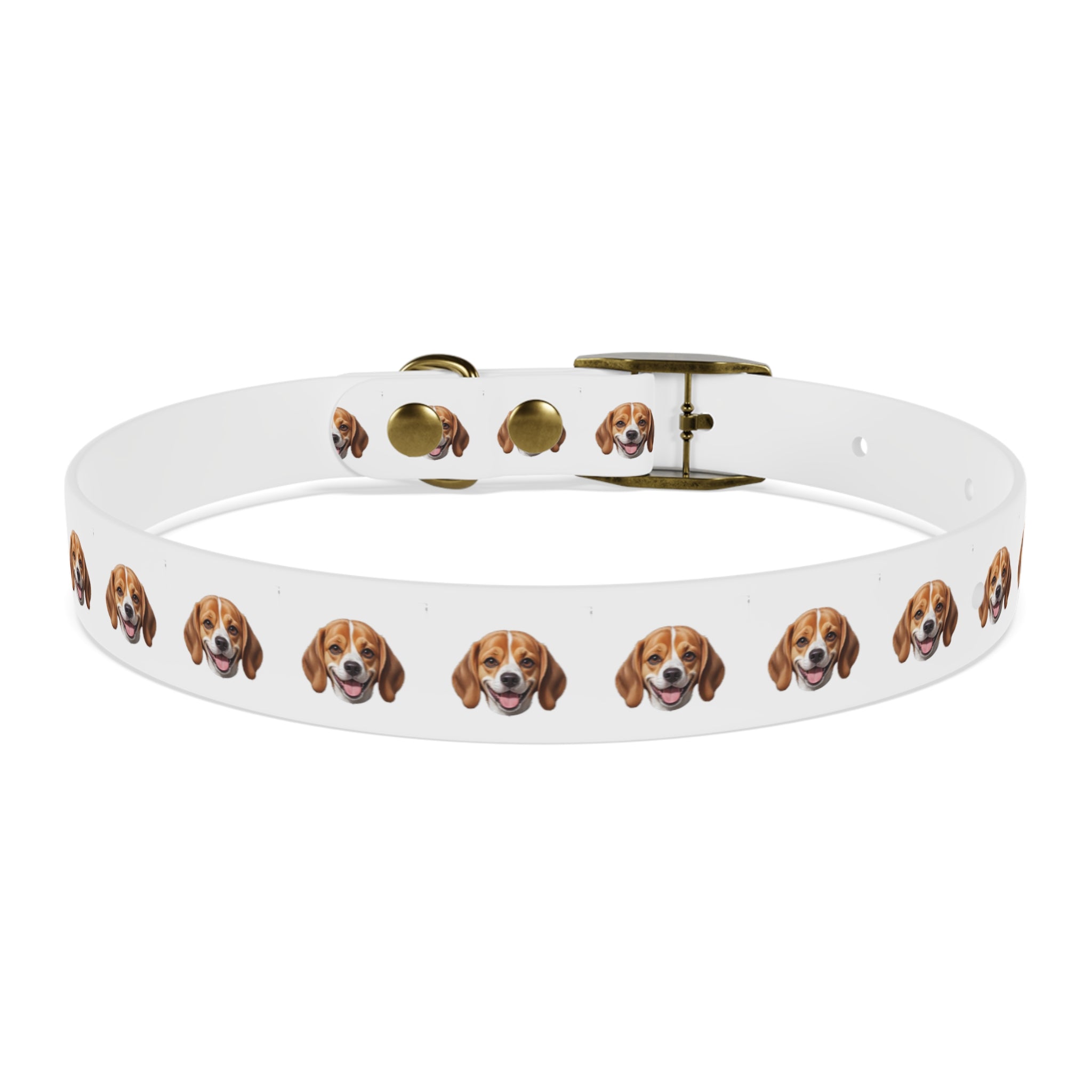 Beagle Collar