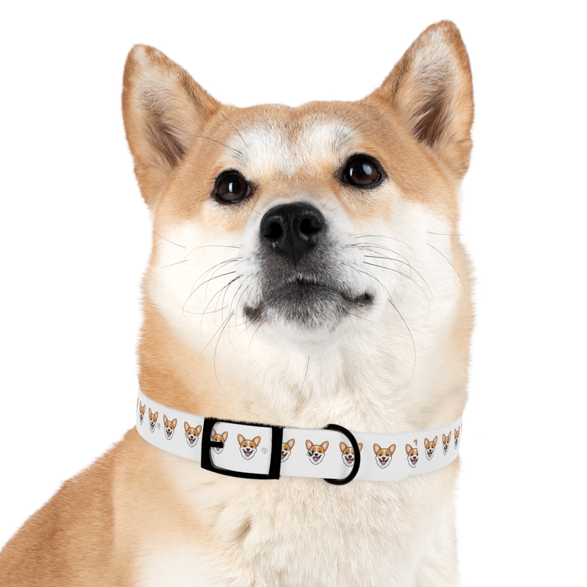 Corgi Collar