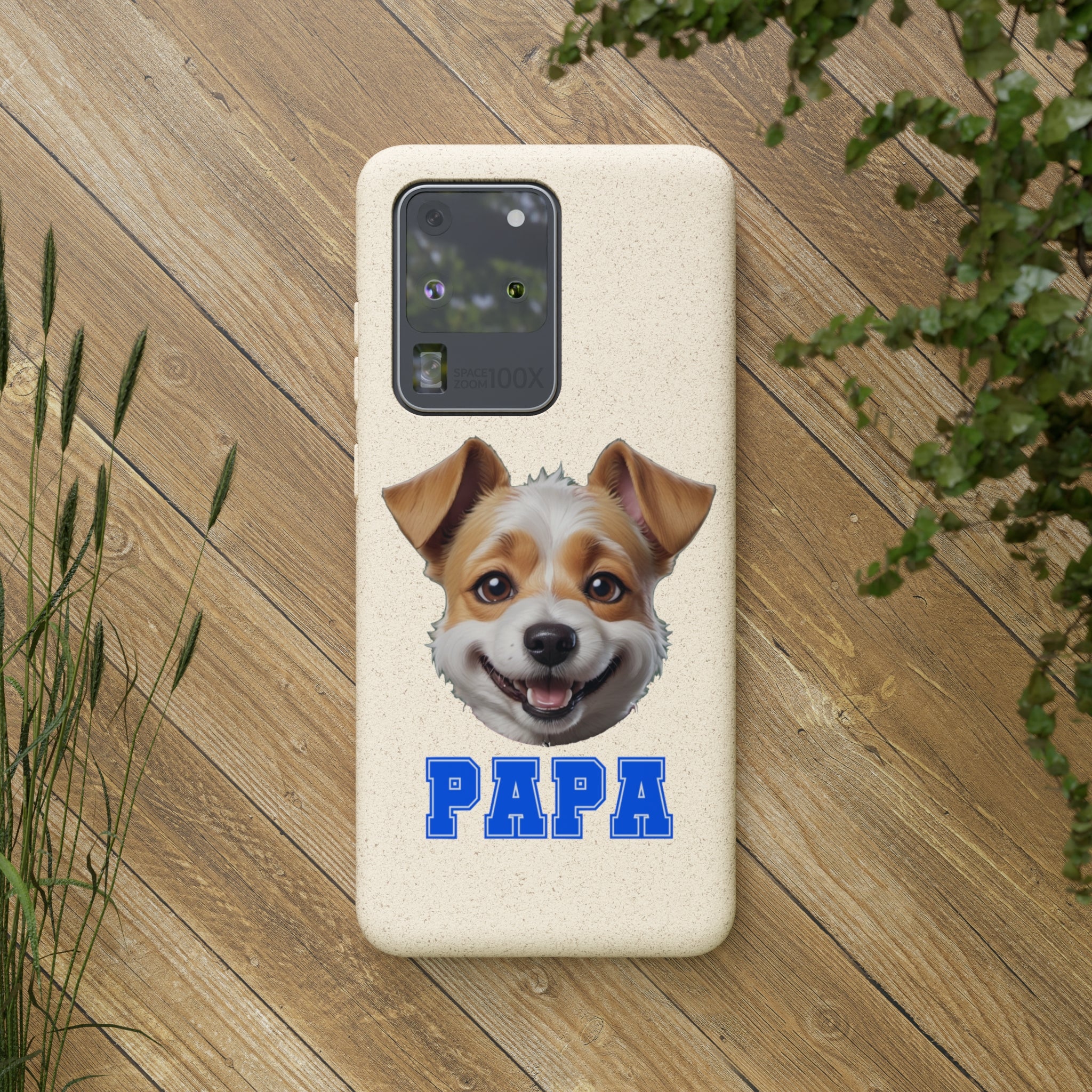 Terrier Papa Cases