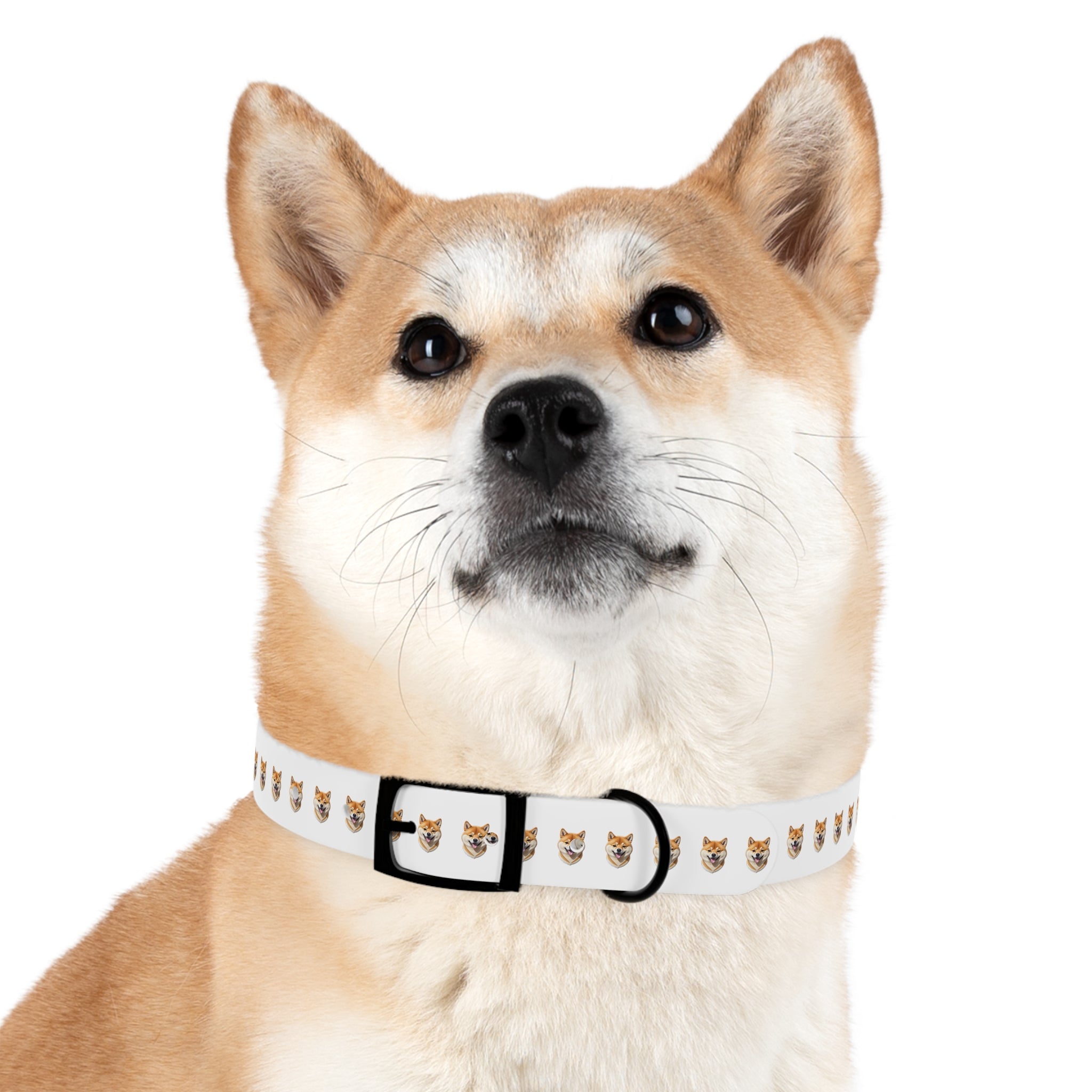 Shiba Inu Collar