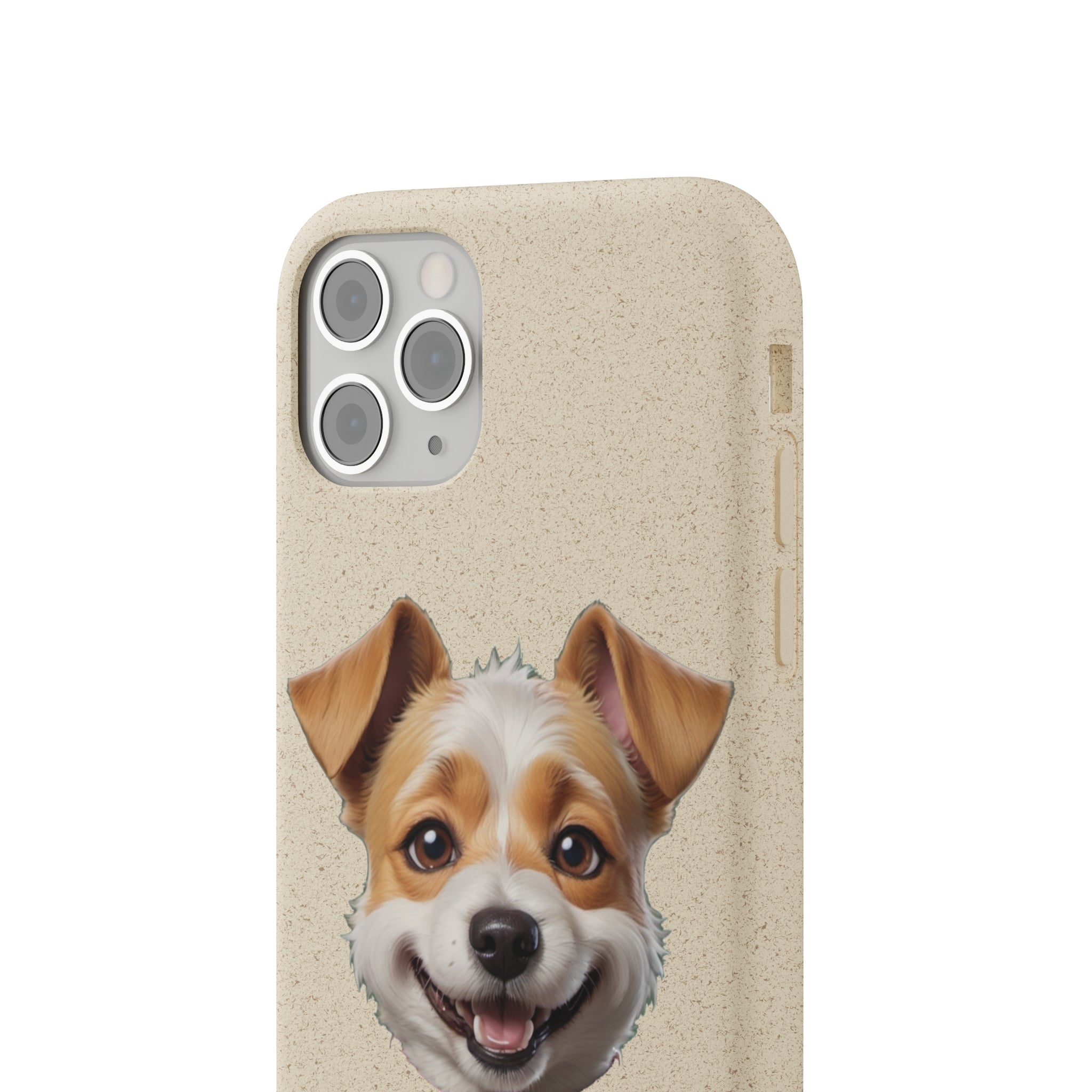 Terrier Papa Cases