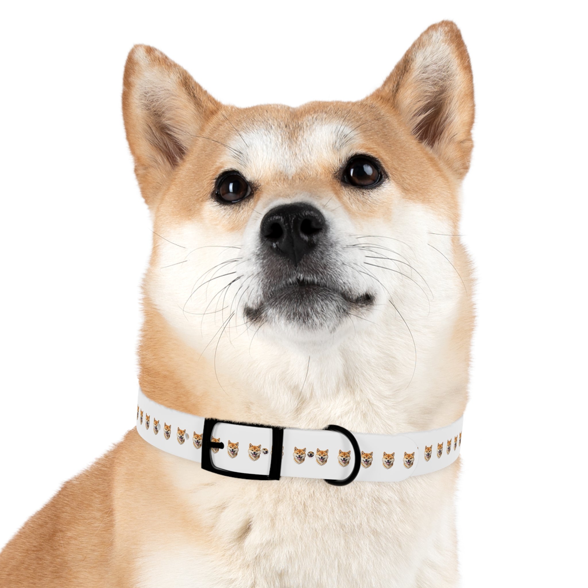 Shiba Inu Collar