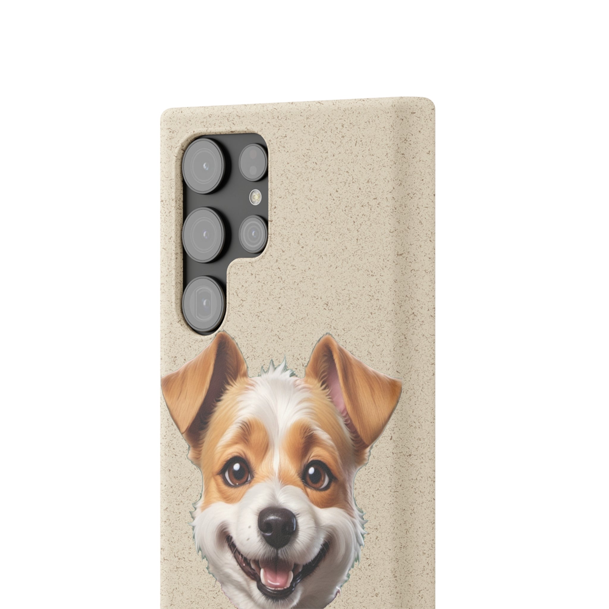 Terrier Papa Cases