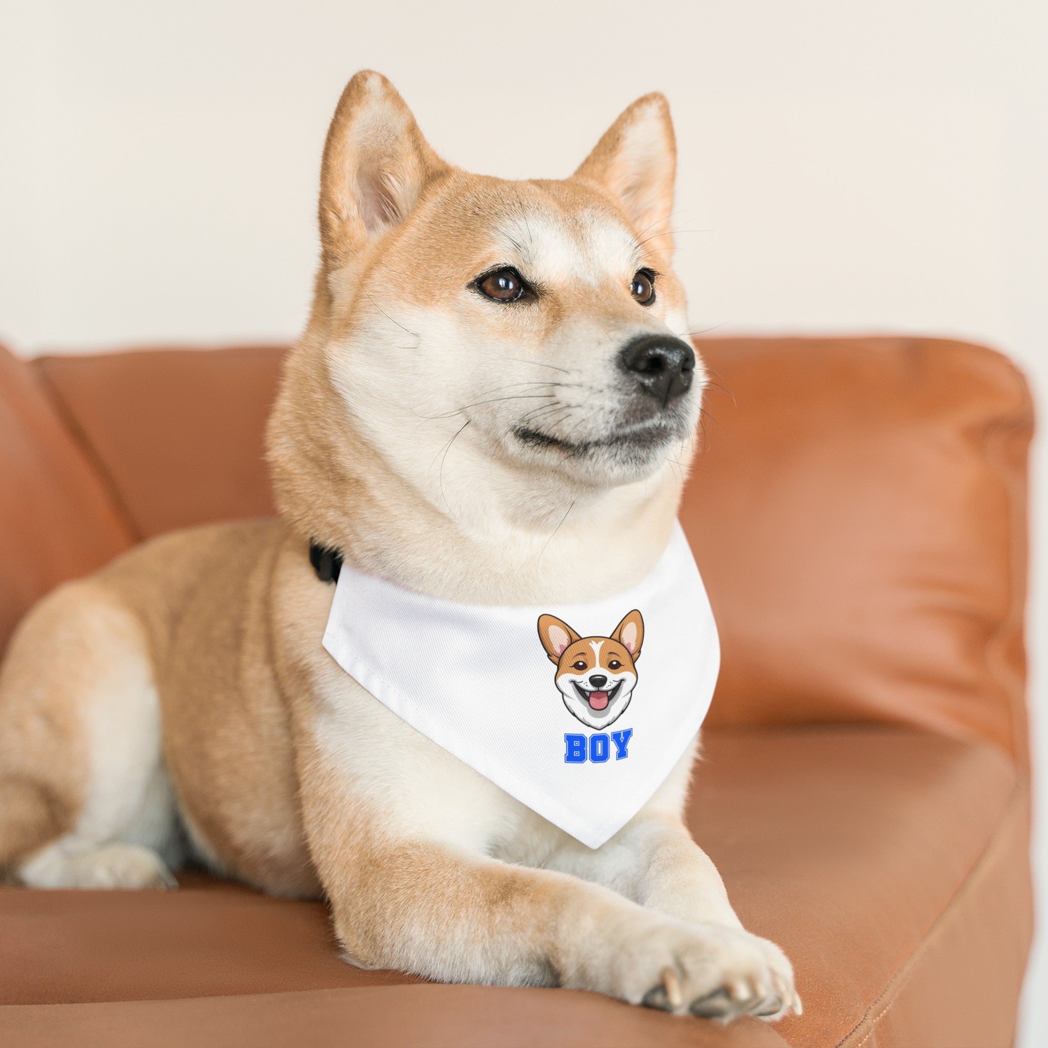 Corgi Boy Bandana Collar