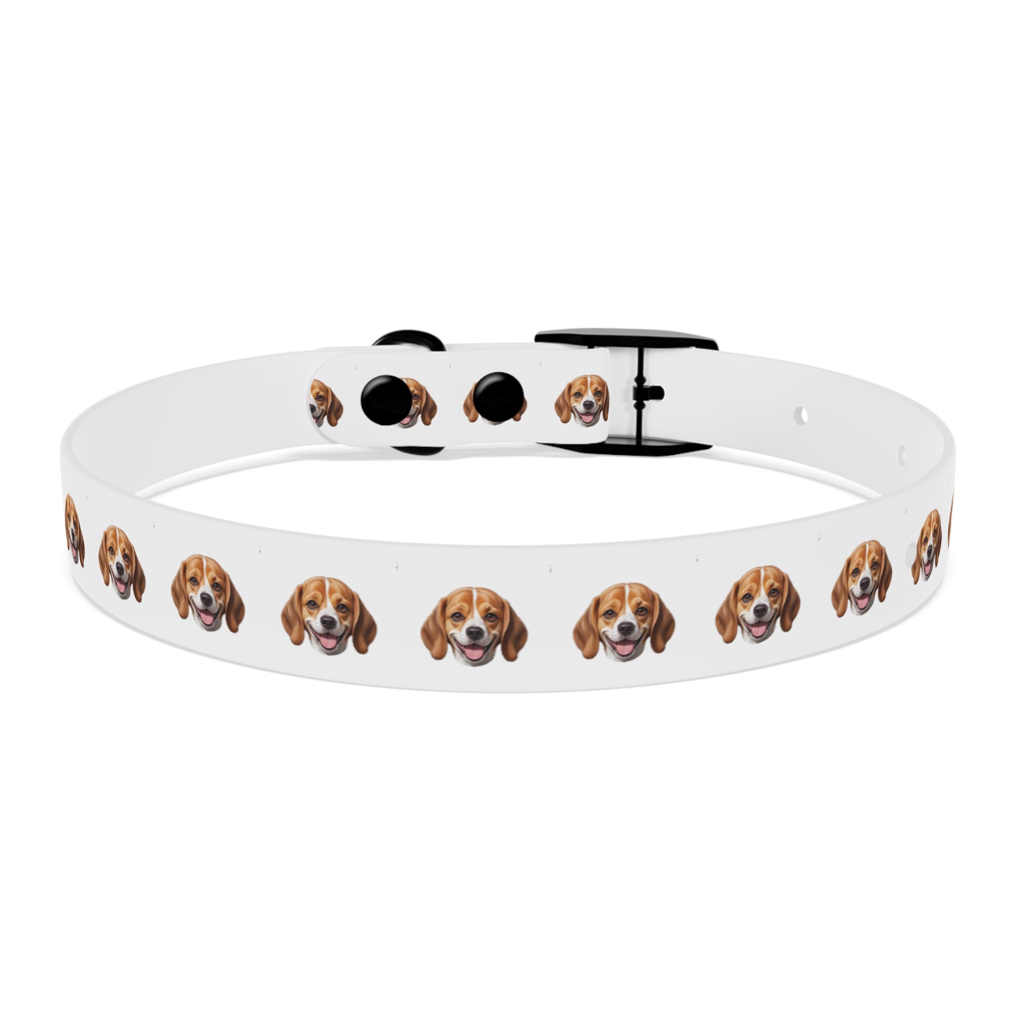 Beagle Collar