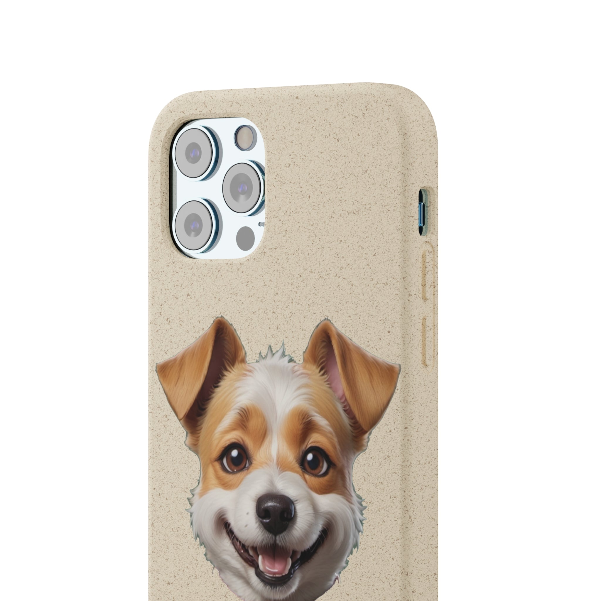 Terrier Papa Cases