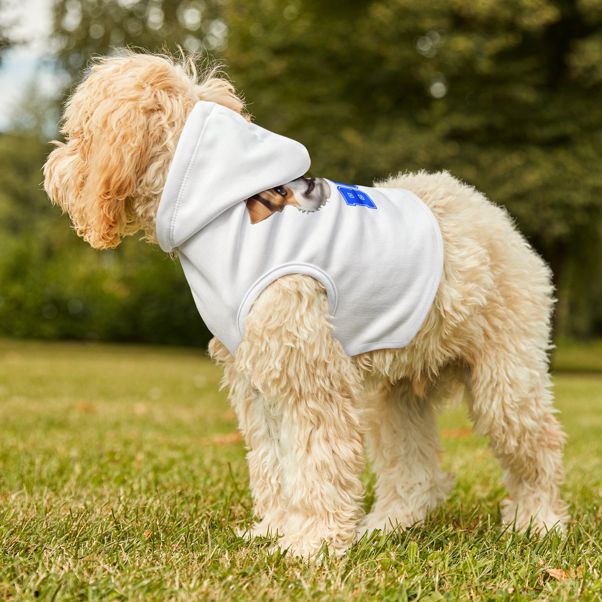 Terrier Boy Hoodie