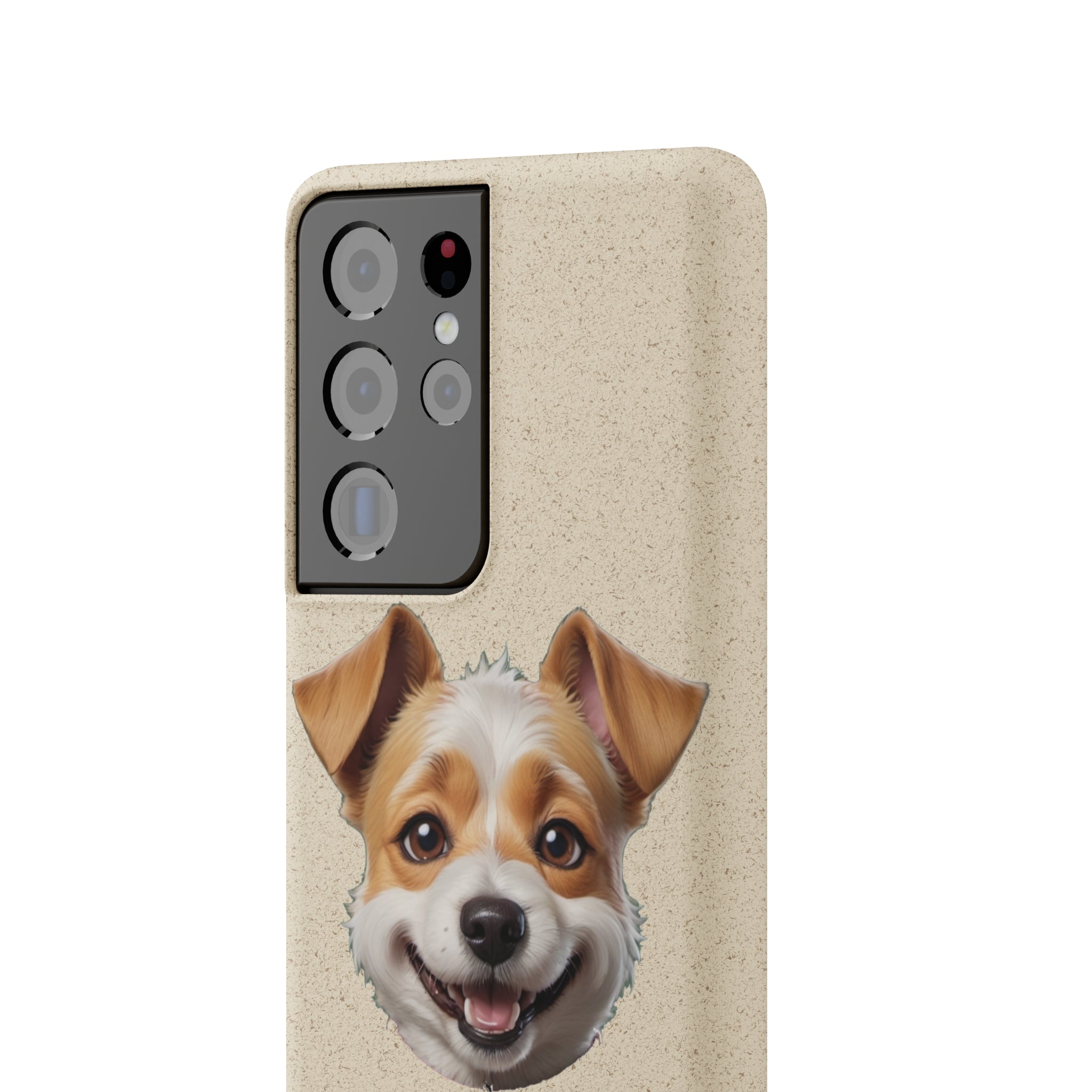 Terrier Papa Cases