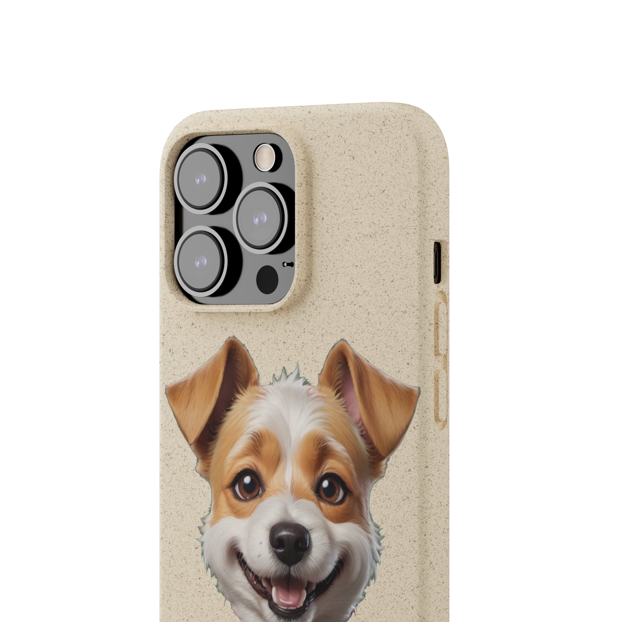 Terrier Papa Cases