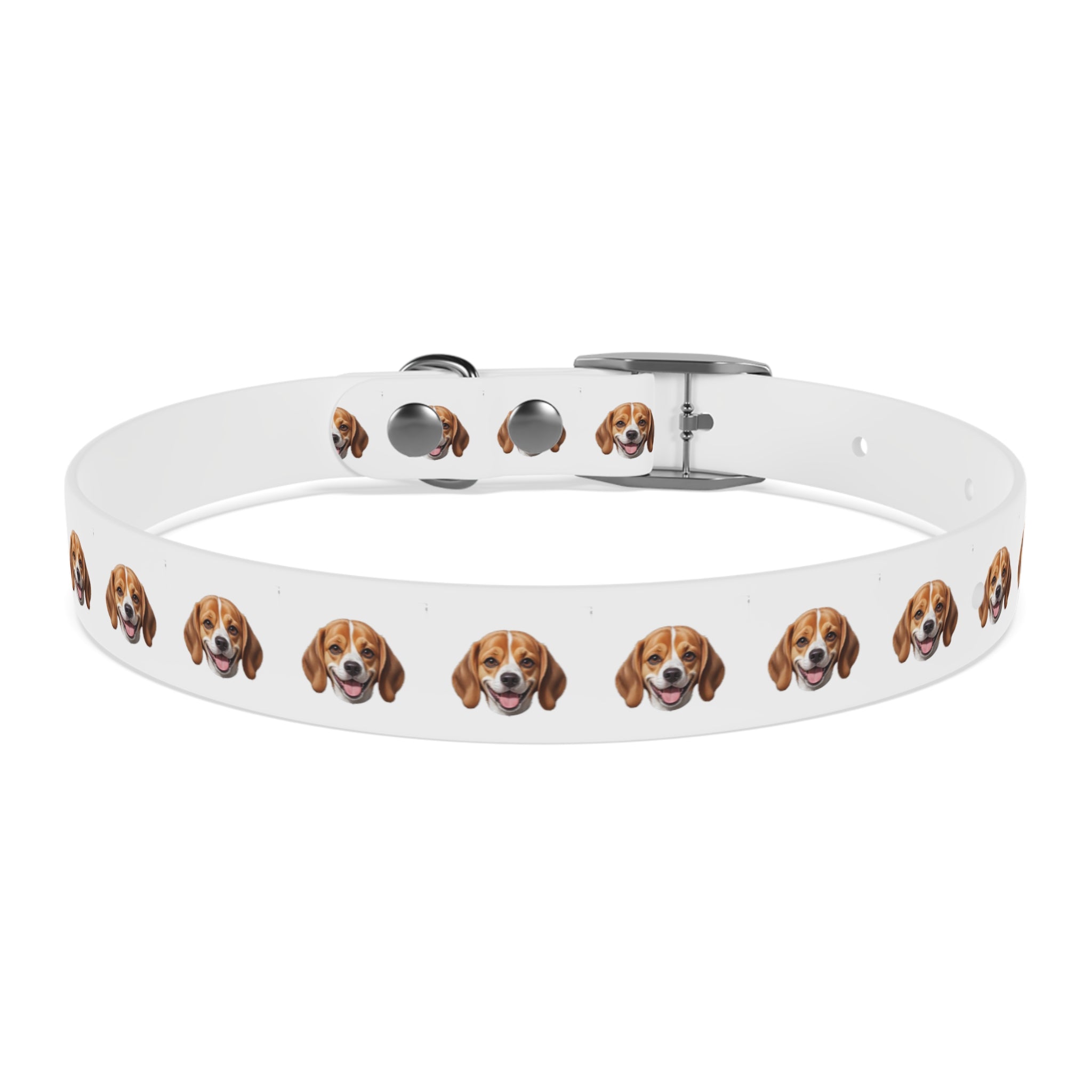 Beagle Collar