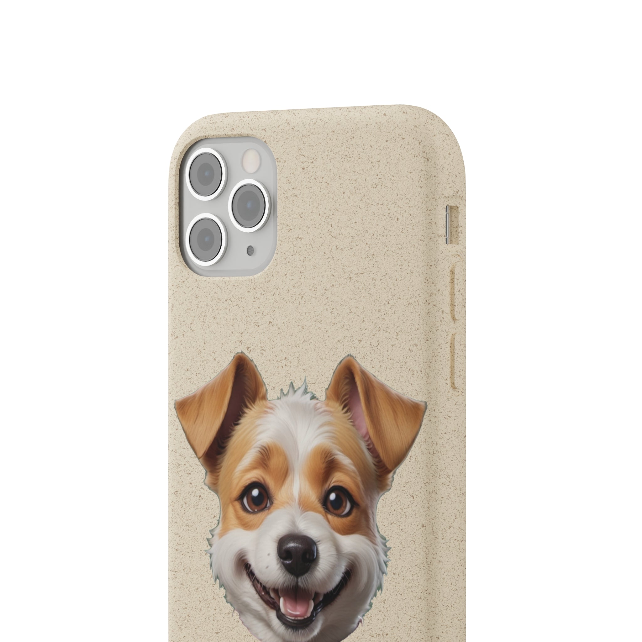 Terrier Papa Cases