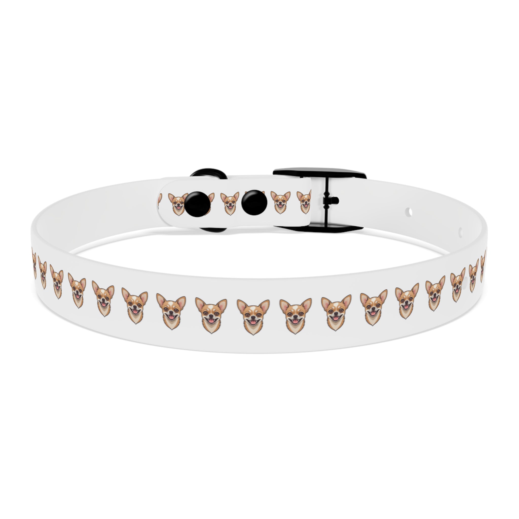 Chihuahua Collar